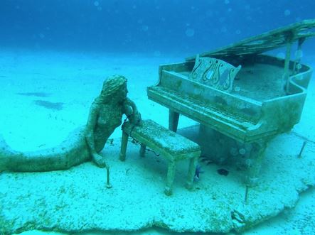Snorkelling in the Exumas - Play the underwater piano