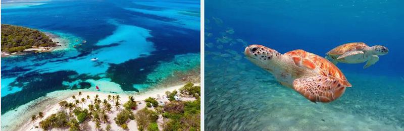 St Vincent and Grenadines Sample Itinerary Day 3