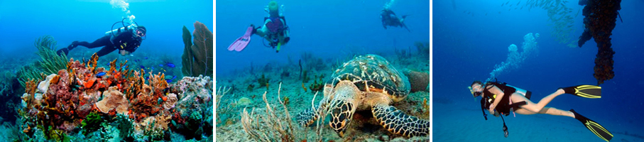 Scuba Diving Yacht Charter Vacations